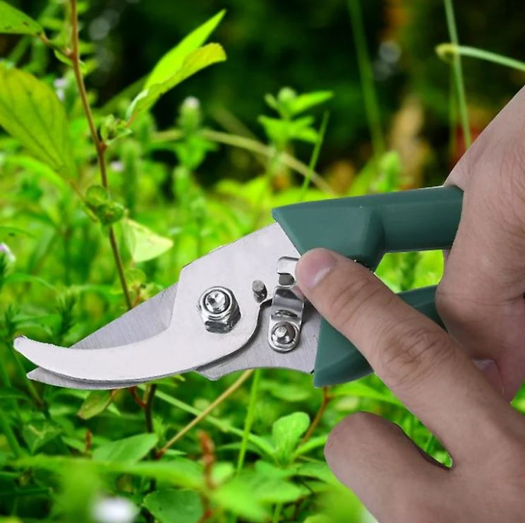 GreenMaster Set™:Todo lo que necesitas para cuidar tu jardín en un solo estuche 🌸🛠️