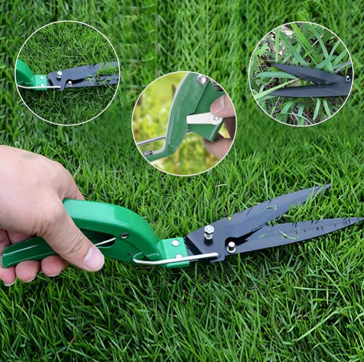 GreenMaster Set™:Todo lo que necesitas para cuidar tu jardín en un solo estuche 🌸🛠️