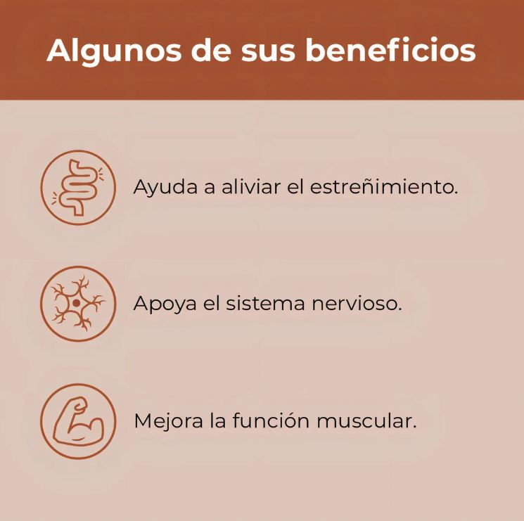 Magnesio Total Max™:🌿🦴 Huesos fuertes, músculos sanos y mente activa… todo en un solo suplemento